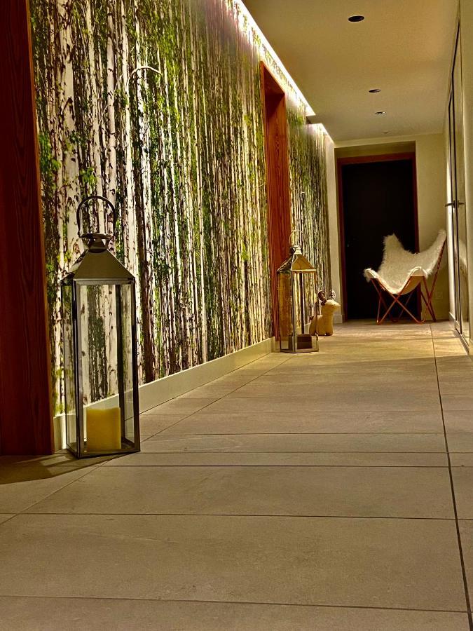 Chalet Pleine Vue & Spa شامونكس المظهر الخارجي الصورة